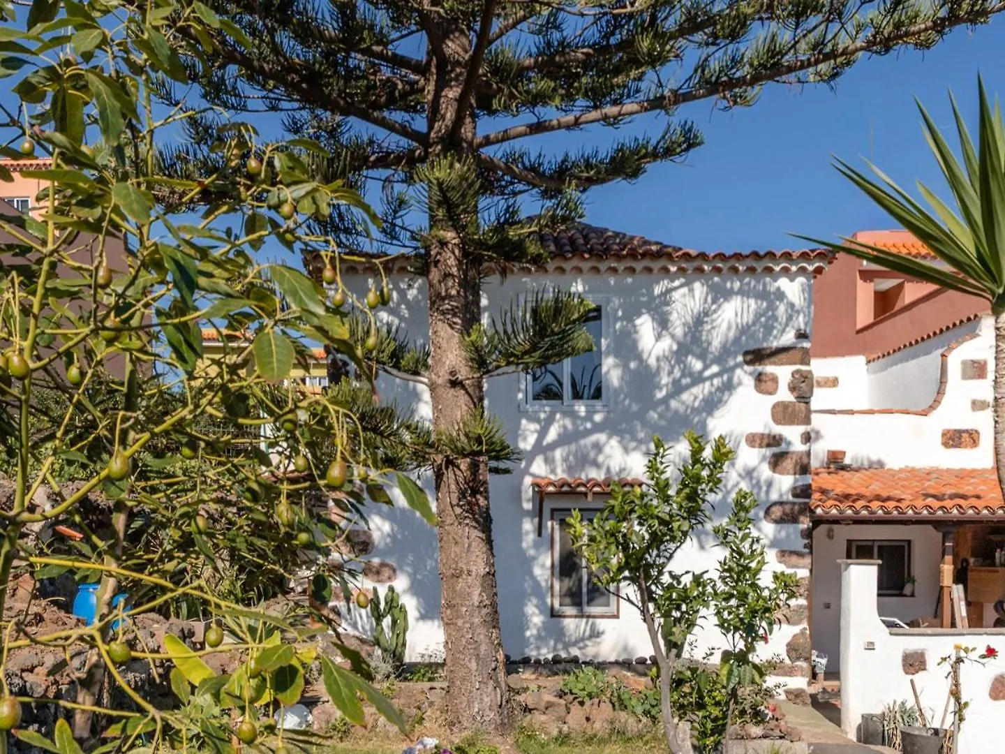 Villa Casa Lupe Santa Úrsula Сasa de vacaciones