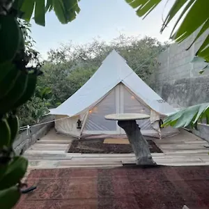Yurt In Avocado Garden Güímar