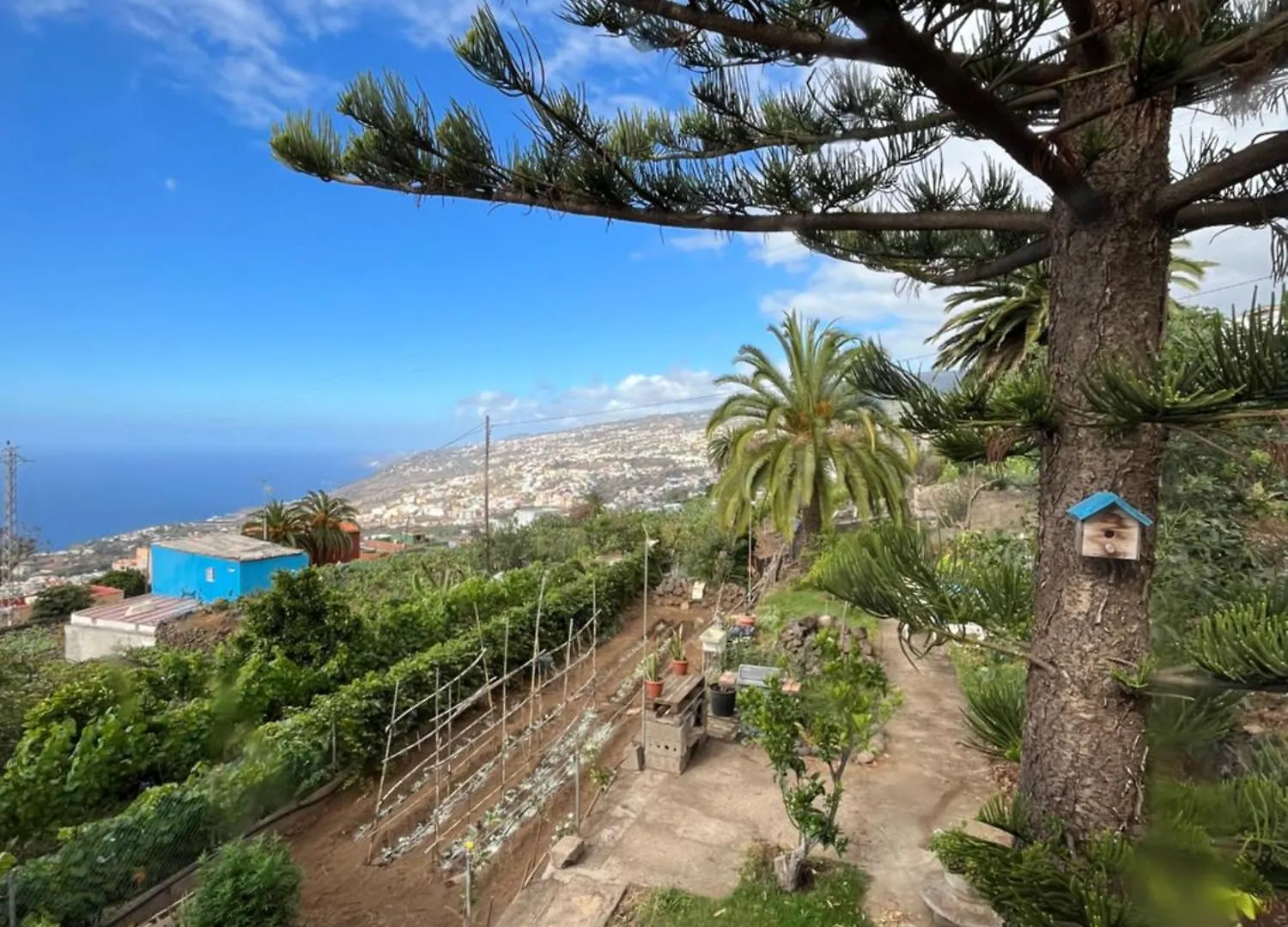 Casa Lupe Villa Santa Ursula  Spain